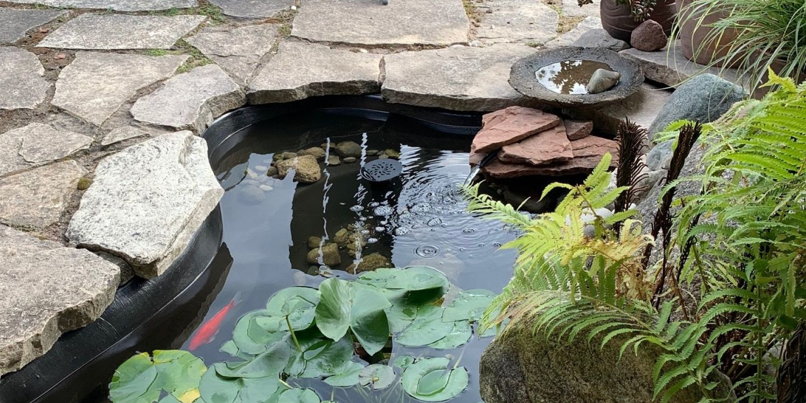 How to Seal a Pond Like a Pro & Prevent Leaks